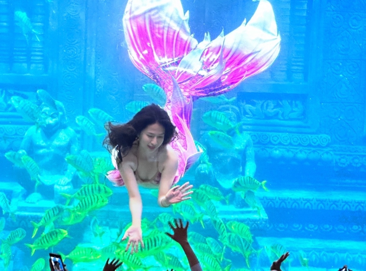 美人鱼秀(图1)